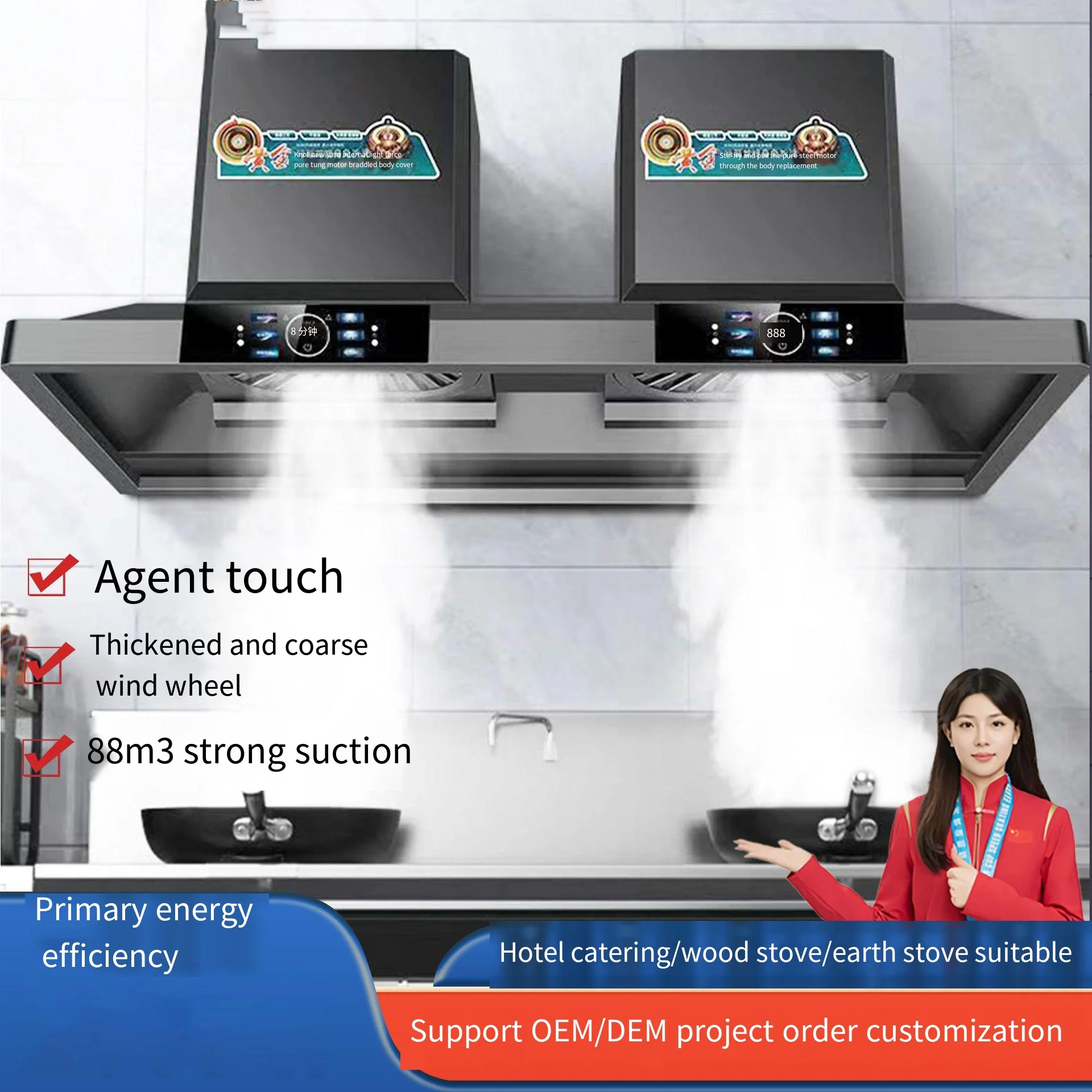 Commercial Kitchen Hood Design - -for OEM 2000W Kitchen Hood Range