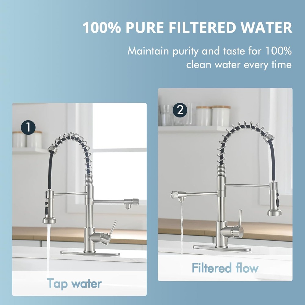 3-in-1 Pull-Down Kitchen Fauce - Commercial Kitchen Water Filter ulasan dan harga